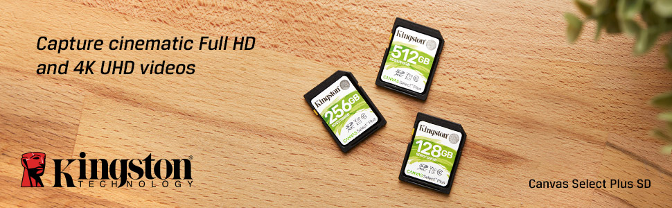 Kingston’s Canvas Select™ Plus SD Memory Cards